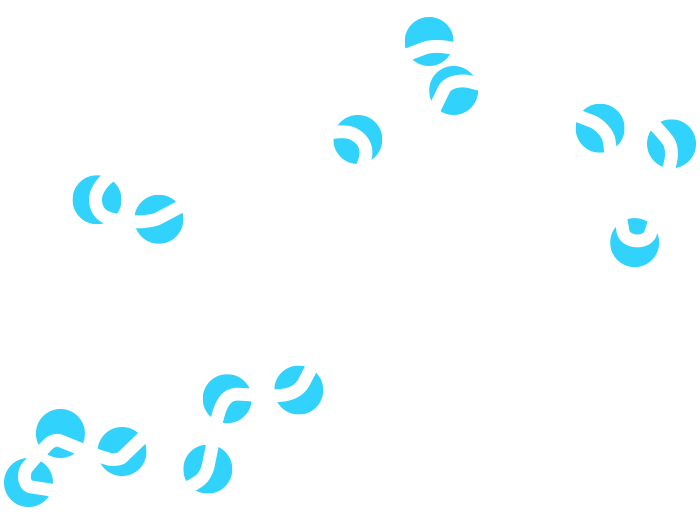 Misano